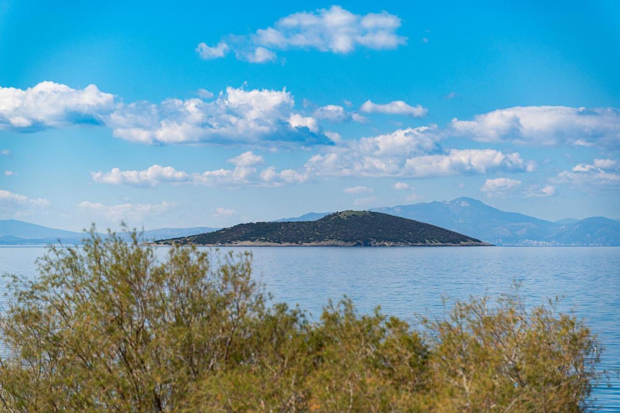Ferienwohnung Ο Μόλος Marmari  Exterior foto